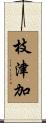 枝津加 Scroll
