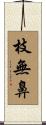 枝無鼻 Scroll
