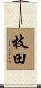 枝田 Scroll