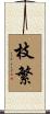 枝繁 Scroll