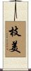 枝美 Scroll