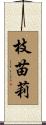枝苗莉 Scroll