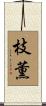 枝薫 Scroll