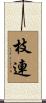 枝連 Scroll