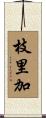枝里加 Scroll