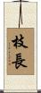 枝長 Scroll