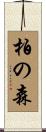 柏の森 Scroll