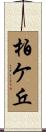 柏ケ丘 Scroll