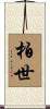 柏世 Scroll