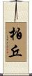 柏丘 Scroll