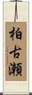 柏古瀬 Scroll
