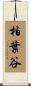 柏葉谷 Scroll