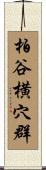 柏谷横穴群 Scroll