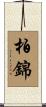柏錦 Scroll