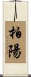 柏陽 Scroll