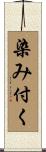 染み付く Scroll