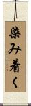 染み着く Scroll