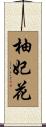 柚妃花 Scroll