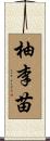 柚李苗 Scroll