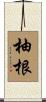 柚根 Scroll