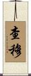 Cham Scroll