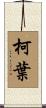 柯葉 Scroll