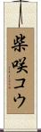 柴咲コウ Scroll