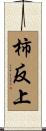 柿反上 Scroll