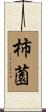 柿薗 Scroll