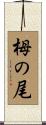 栂の尾 Scroll