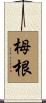 栂根 Scroll