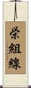 栄組線 Scroll