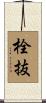 栓抜 Scroll