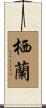 栖蘭 Scroll