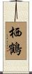 栖鶴 Scroll