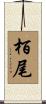 栢尾 Scroll