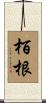 栢根 Scroll