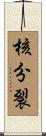 核分裂 Scroll