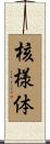 核様体 Scroll