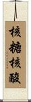 核糖核酸 Scroll
