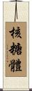 核糖體 Scroll