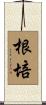 根培 Scroll