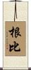 根比 Scroll