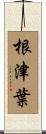 根津葉 Scroll