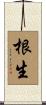 根生 Scroll