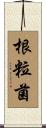 根粒菌 Scroll