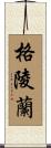 Greenland Scroll