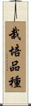 栽培品種 Scroll