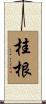 桂根 Scroll
