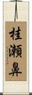 桂瀬鼻 Scroll